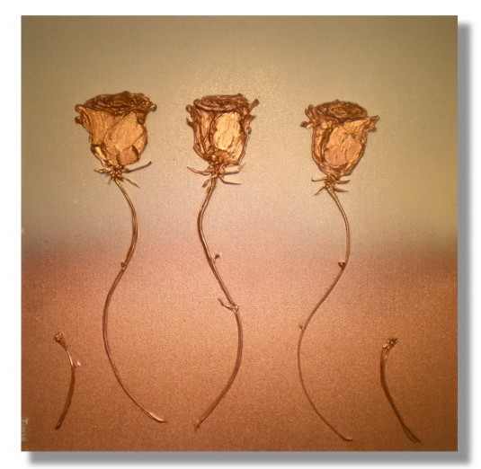 Coppery