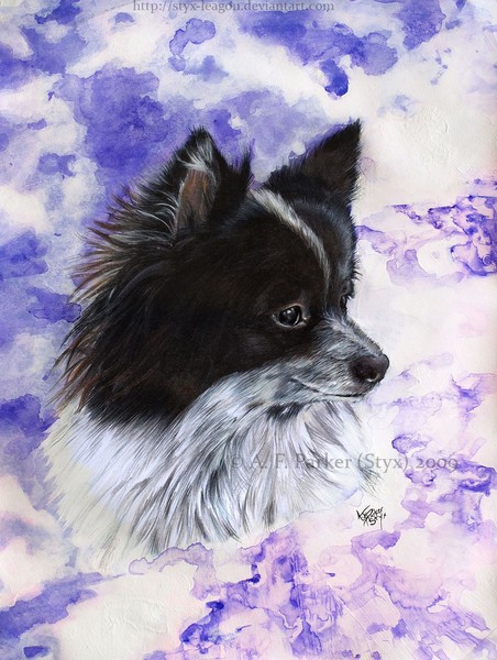 Tanuki Portrait