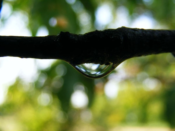 After the Rain