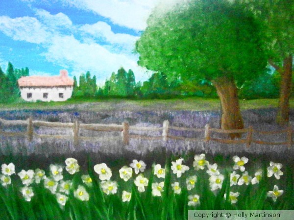 Lavender and Daffs