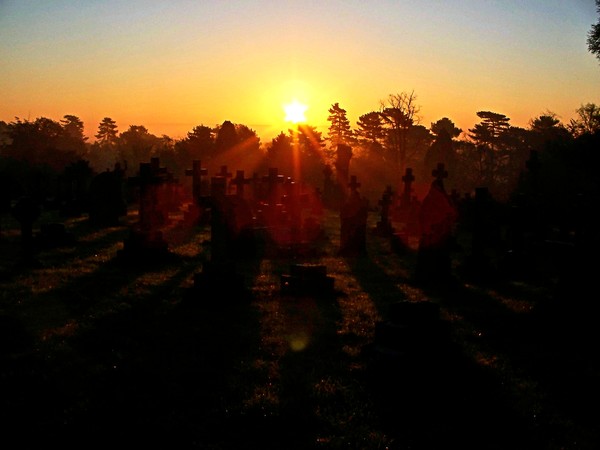 The Sun Still Rises