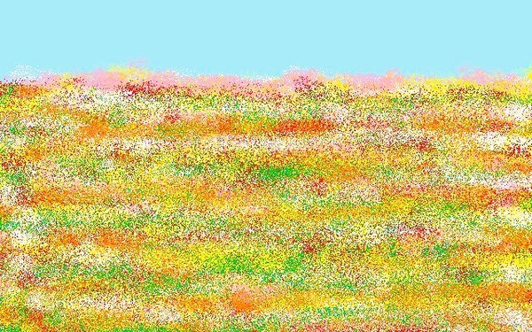 meadow of colors