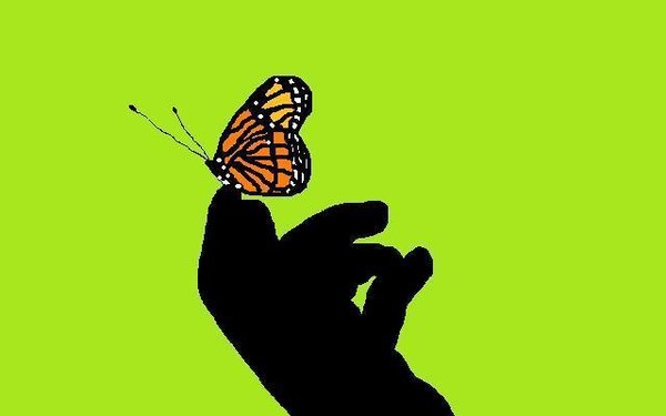 Tiny Beauty