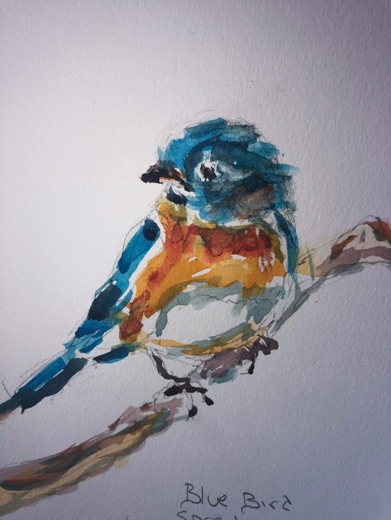 Blue bird 