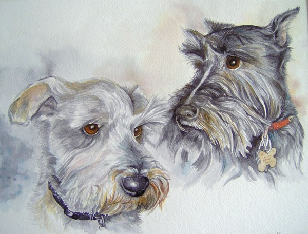 Portrait of Buster and Caley