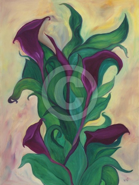 No. 095 Callas Lilly in Burgandy