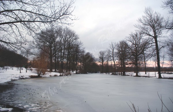 Winter at Bellevue State Park