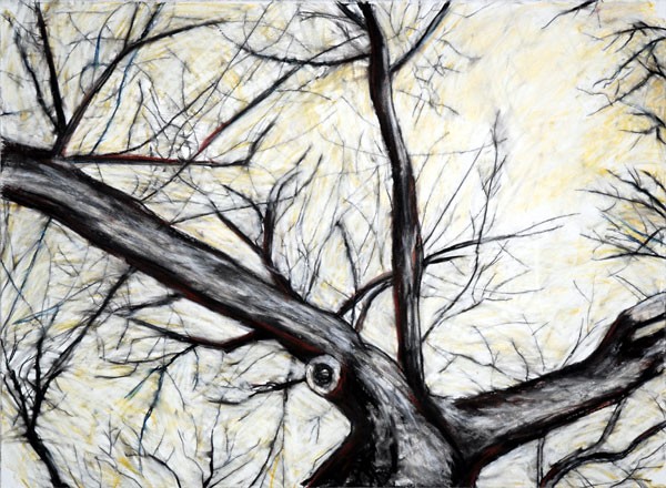 Tree with yellow Sky