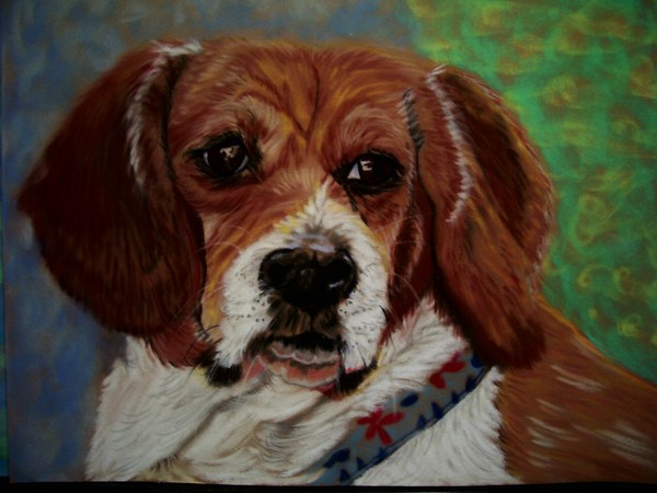 Beagle,dog series