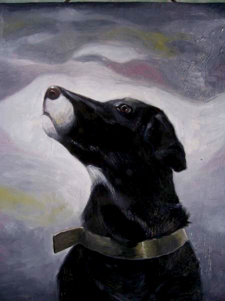 Study of My Dog