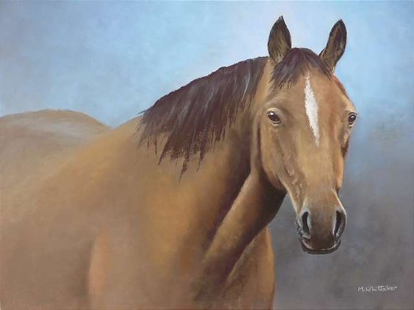 Horse Portrait