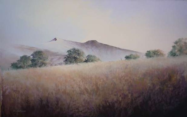 Summer Meadow Brecon Beacons