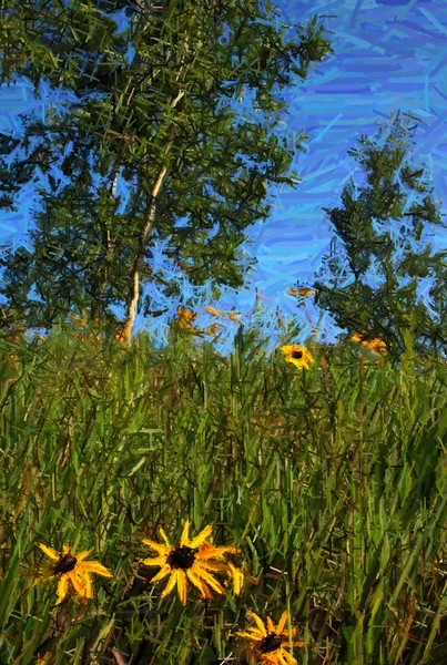 for Vincent