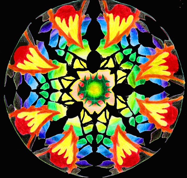 What do you see