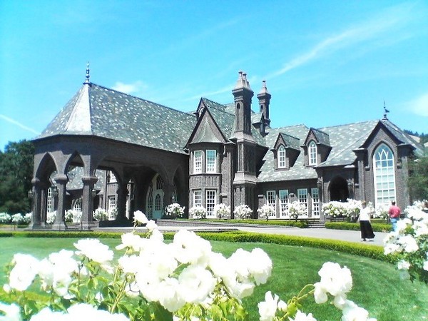 Ledson Winery
