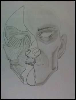 My Sketches