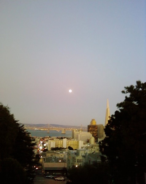 Ida B. Coolbirth Park, Russian Hill, Harvest Moon