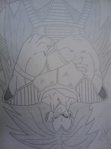 DragonballZ 1