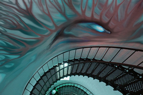 brawn eye