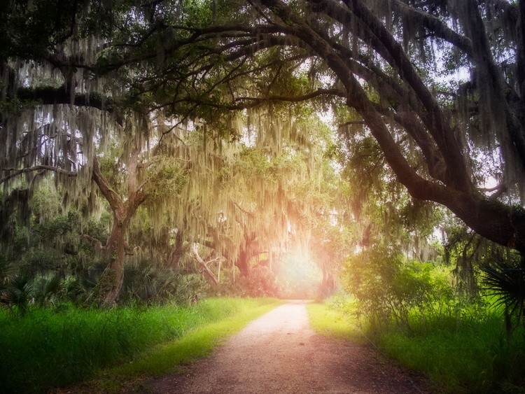 Florida