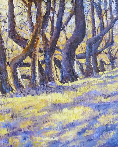 TWELVE TREES