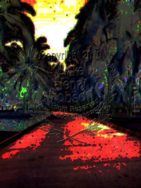 Tropical Palm Lined Street Landscape