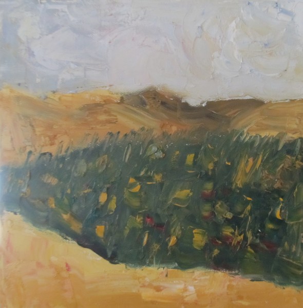 Sunflower Field, 2013