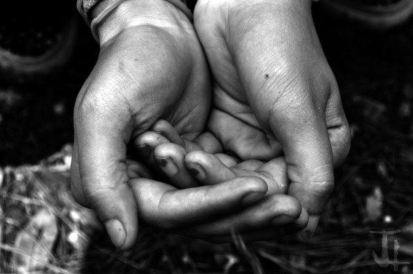 Hands