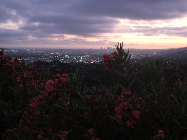 Hollywood