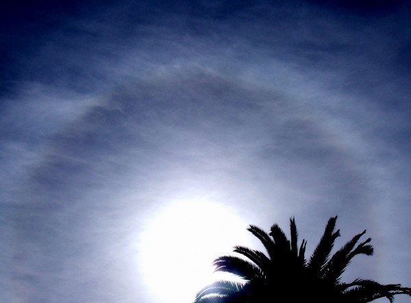 Sun Halo 6
