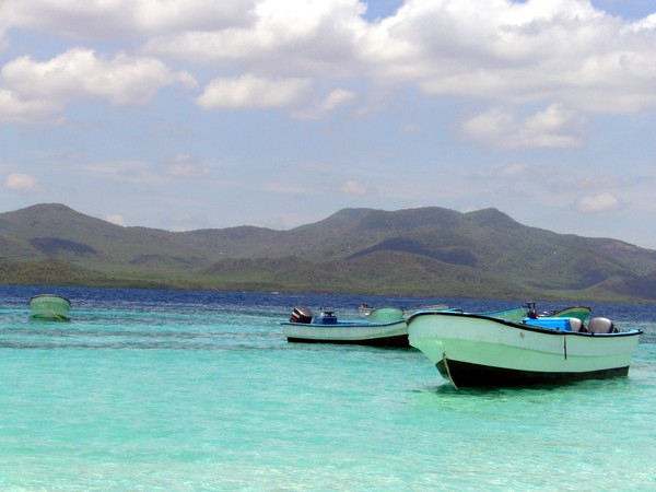 Paradise Boats