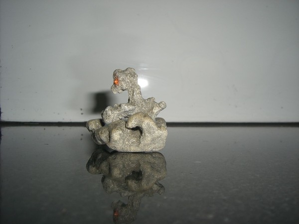 Hippocampus