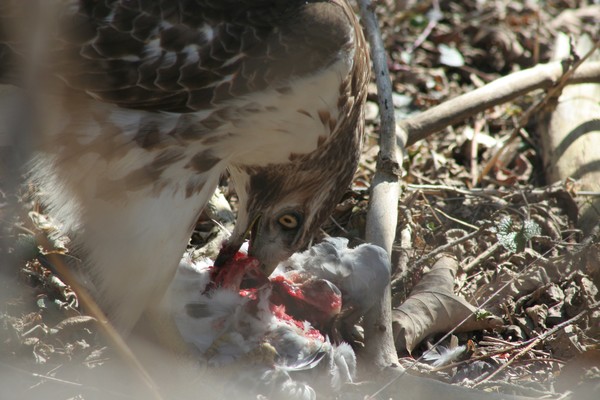 lunch time!