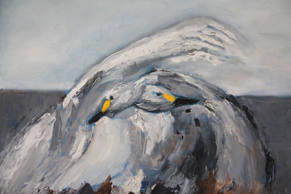 Two swans (50x50)