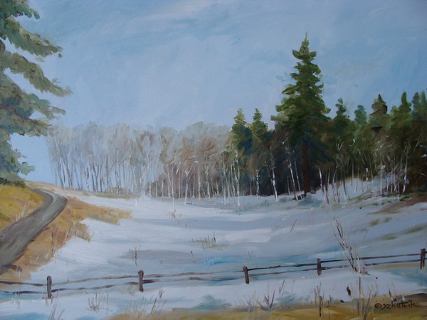 Winter Aspens