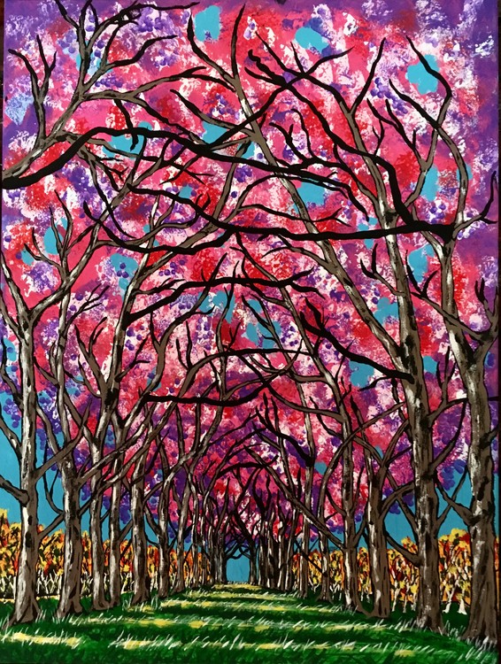 Cherry Blossom Lane