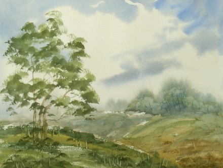 hillside landscape 632