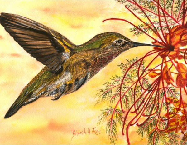 Nature's Sweet Nectar