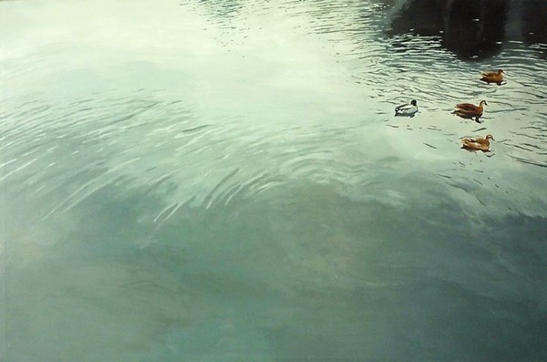 Ducks