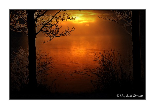 Red Sunlight