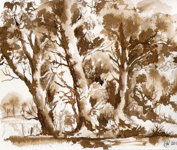 view Through the Trees