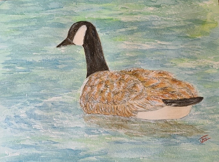 WATERCOLOR
