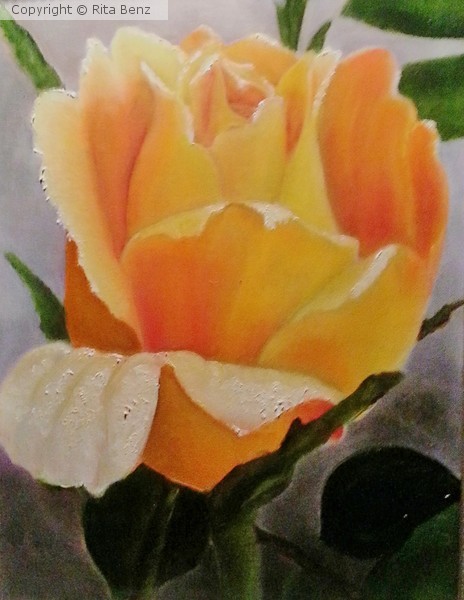 Autumn Rose