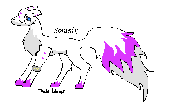 Sora