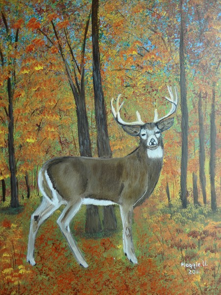 Big Buck
