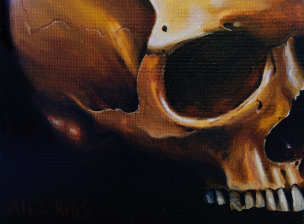 Brown Skull