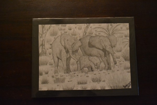 Elephants