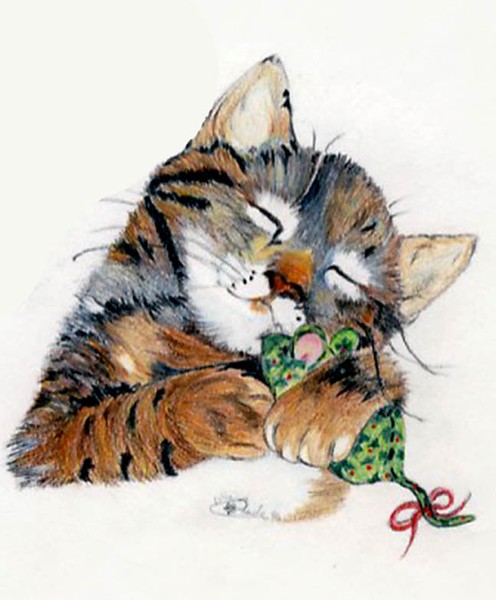 kitten and toy
