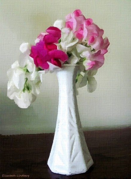 Sweet Pea vine in a vase