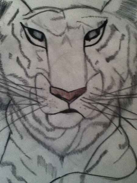 snow Bengal